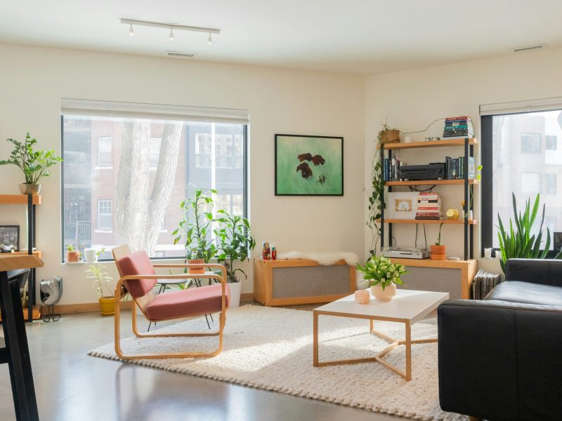 jon-stebbe-paydk0JcIOQ-unsplash